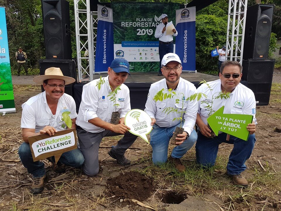 Ingenios azucareros reforestarán con más de 930 mil árboles en 2019