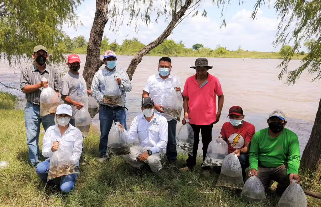 Ingenios contribuyen con la biodiversidad acuática de la Costa Sur