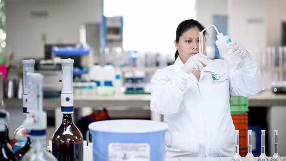 Los ingenios reutilizan residuos como abono orgánico para conservar los suelos