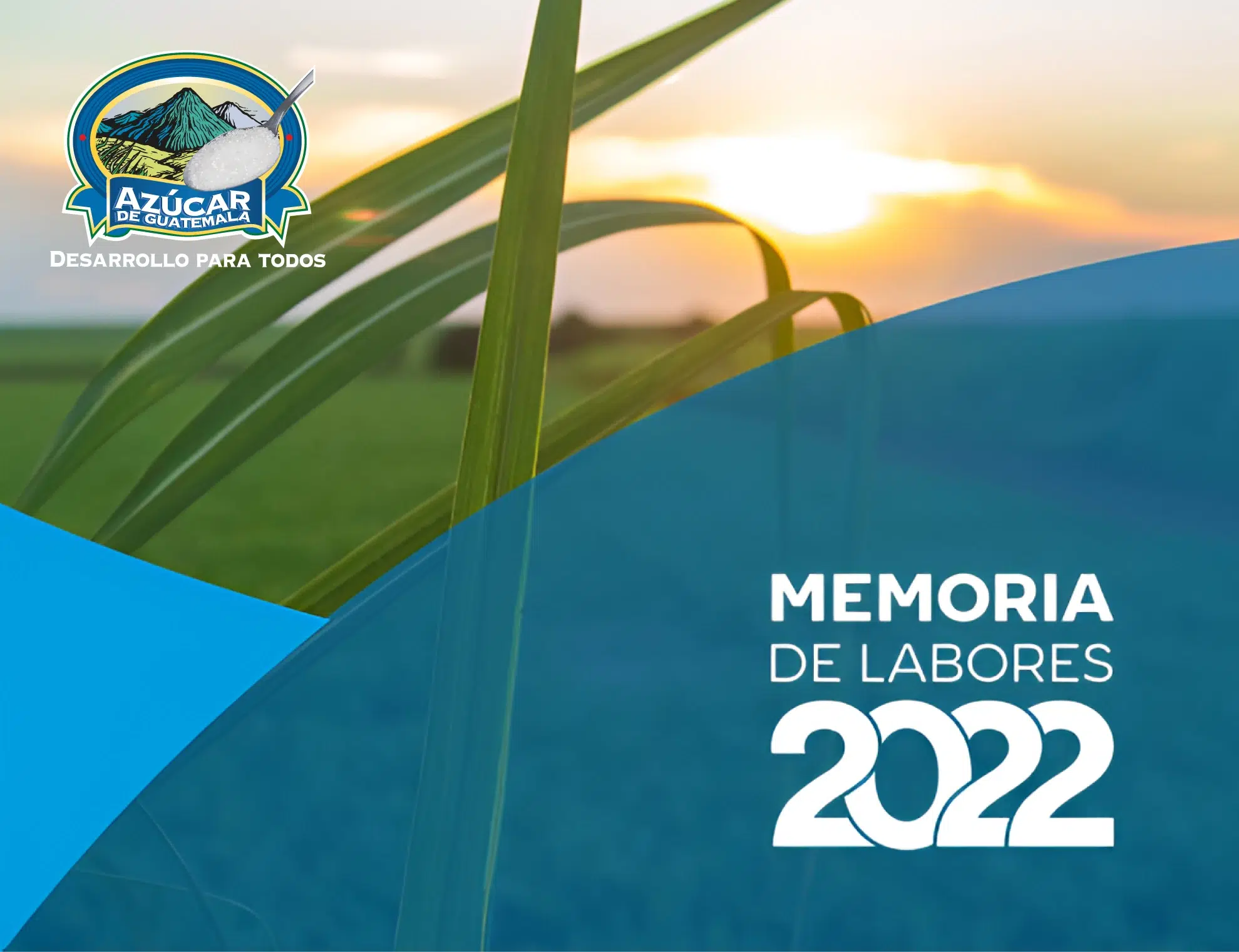 Memoria de Labores 2022