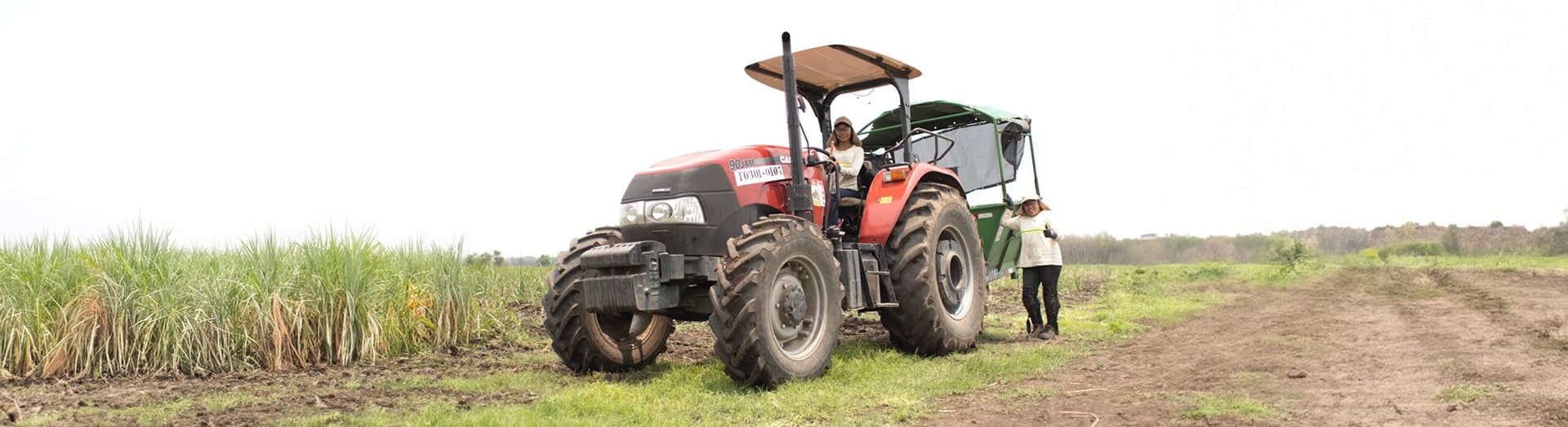 Mujeres trabajando en campo de caña