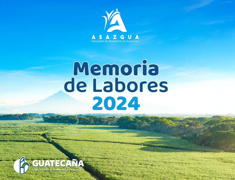 Memoria de Labores 2024