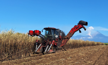 Trainee Maquinaria Agrícola- Ingeniería Mecánica