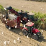 Ingenios inician Zafra 2025