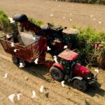 Guatecaña impulsa la agricultura inteligente con tecnología satelital