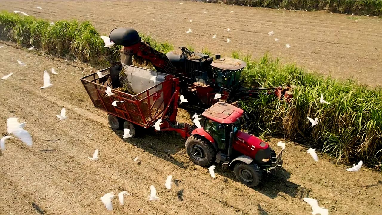 Guatecaña impulsa la agricultura inteligente con tecnología satelital