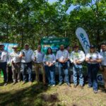 Guatecaña sembrará más de 268 mil árboles en 2026