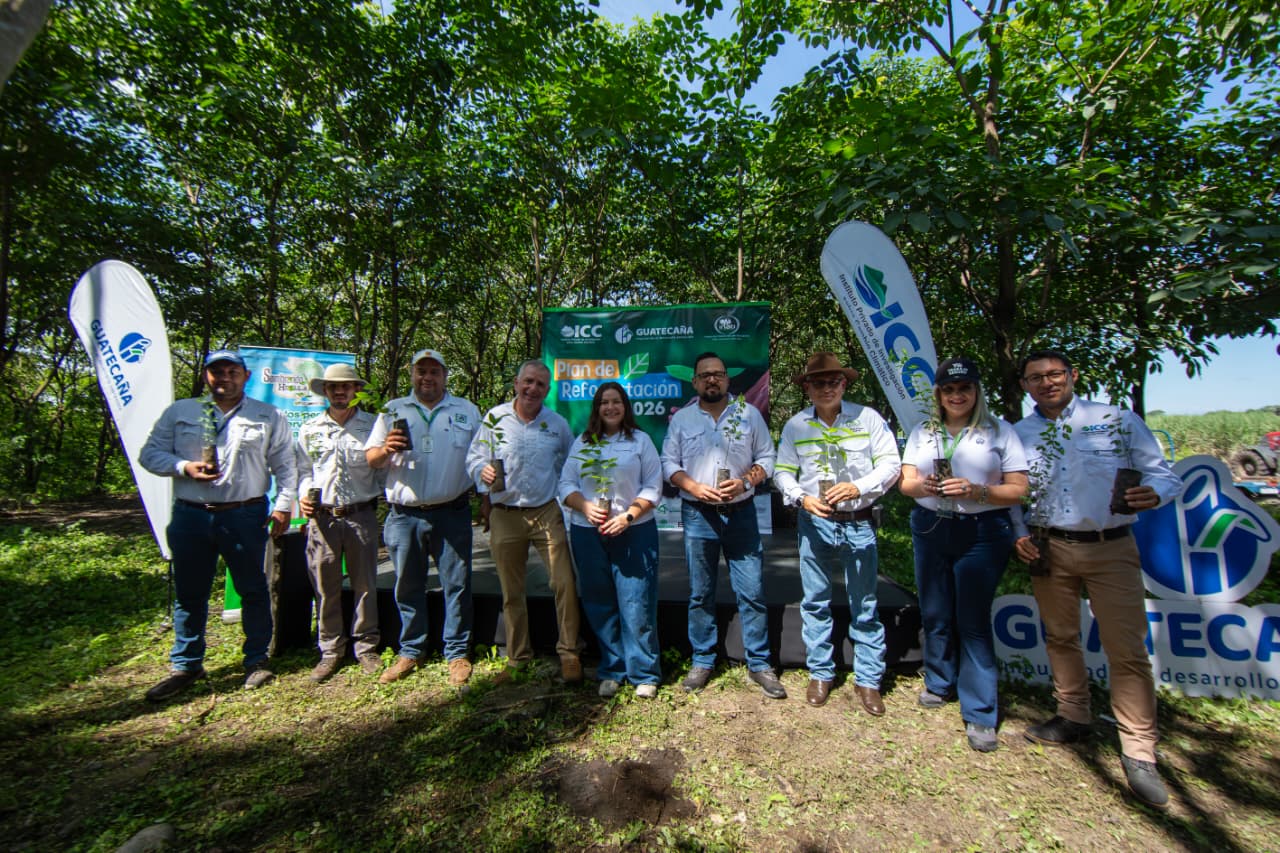 Guatecaña sembrará más de 268 mil árboles en 2026