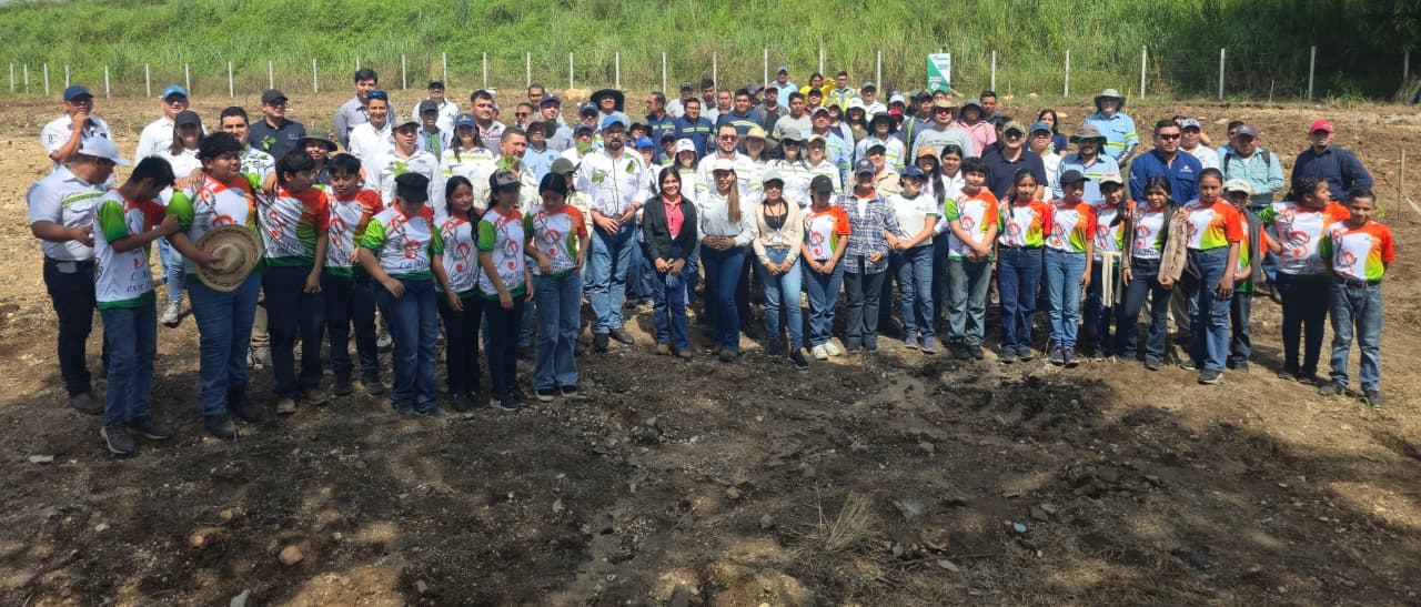 Guatecaña sembrará 35,400 árboles en Suchitepéquez como parte del Programa de Reforestación 2026